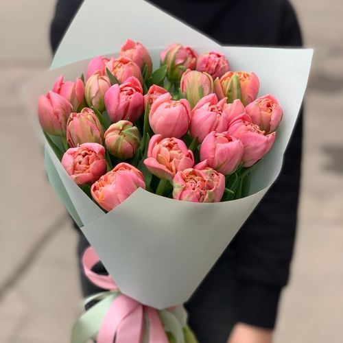 25 Розовых Пионовидных Тюльпанов