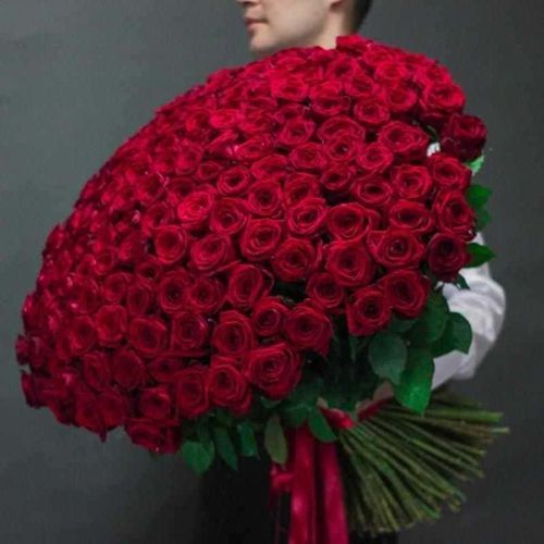 Букет Из 201 Красной Розы